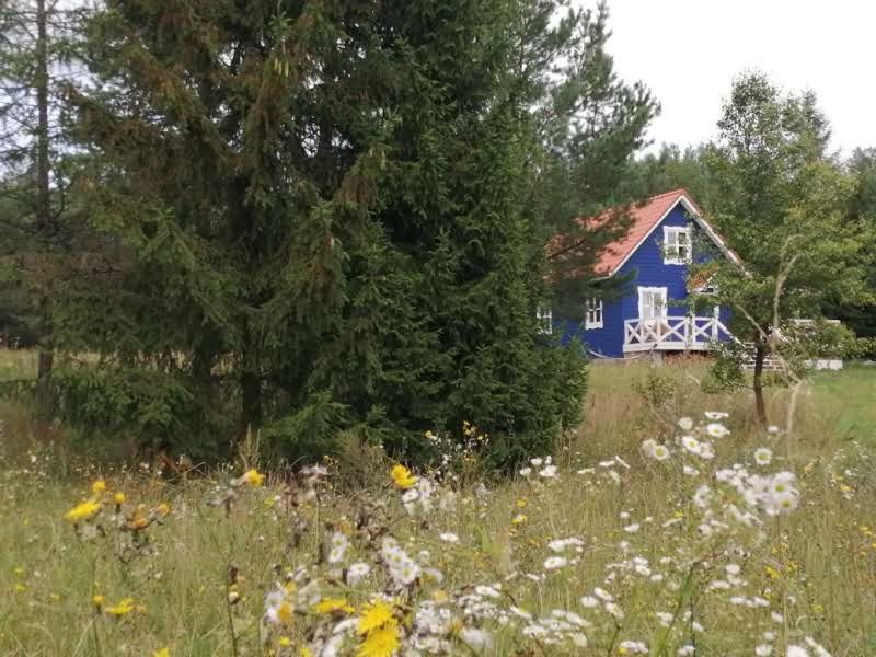 Swiety Spokoj Laka I Woda Pozezdrze Extérieur photo