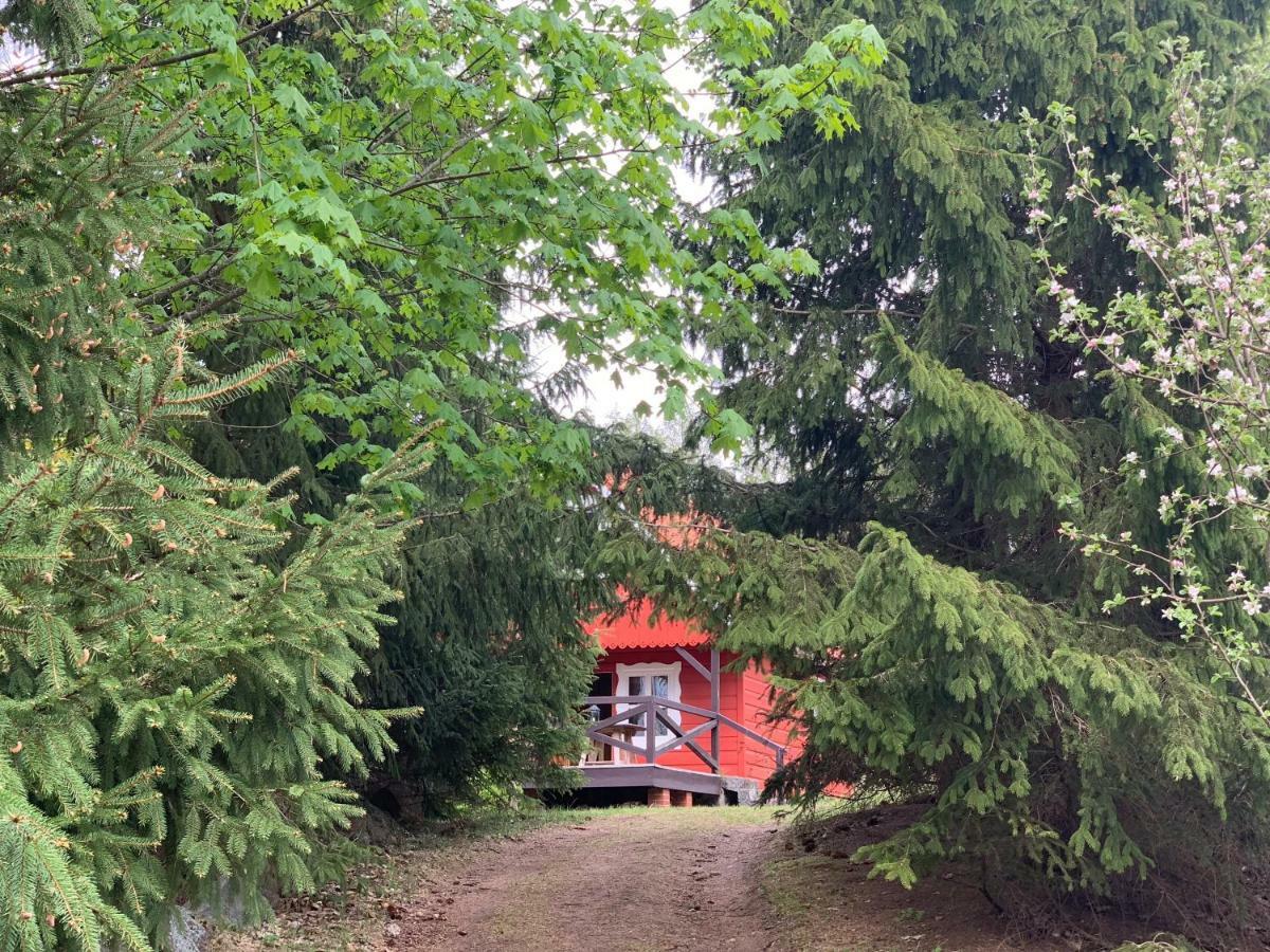 Swiety Spokoj Laka I Woda Pozezdrze Extérieur photo